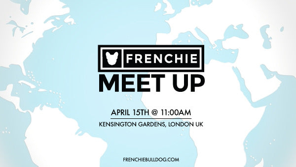 Frenchie Bulldog Meet Up- Kensington Gardens, London UK🇬🇧