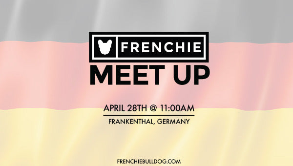 Frenchie Bulldog Meet Up- Frankenthal, Germany 🇩🇪