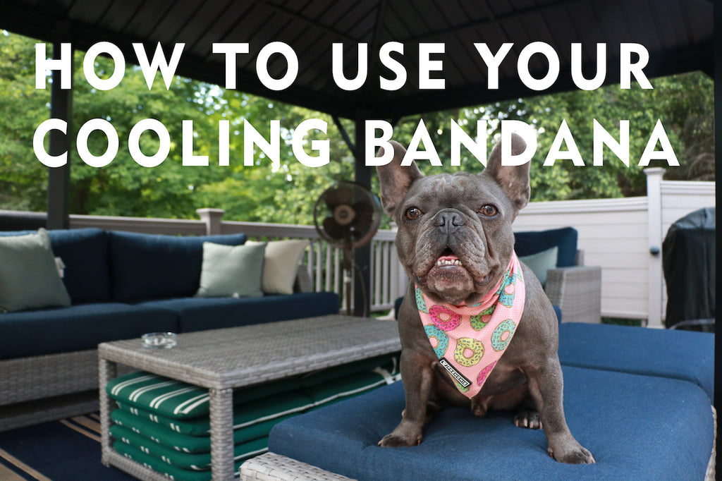 How To Use Your Cooling Bandanas! 💦
