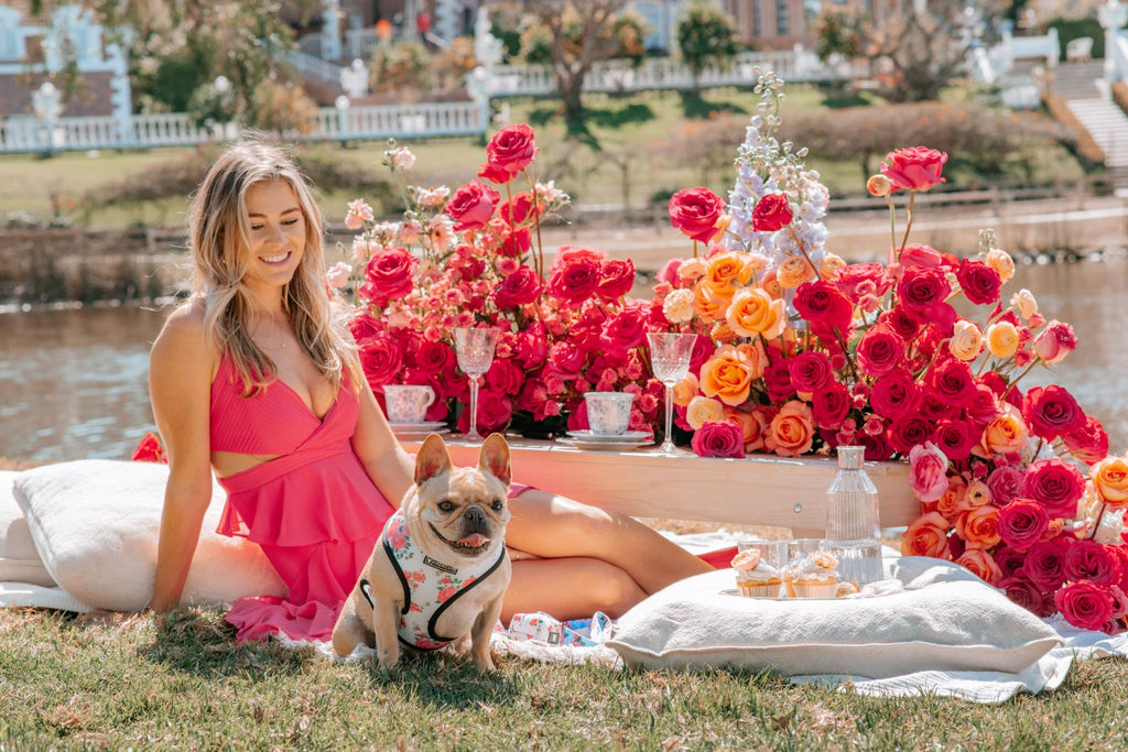 How To Plan The Perfect Picnic With Your Pup