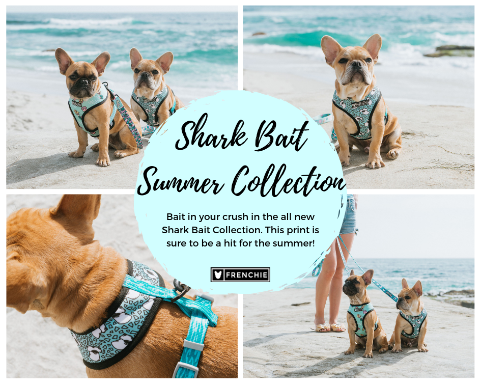 Shark Bait Collection